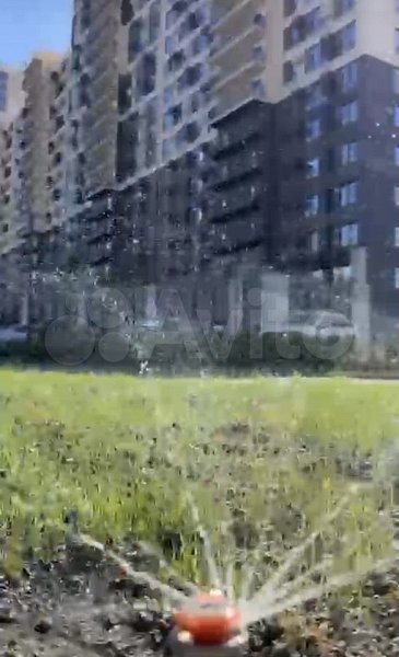 Студия, 23.5 м², р-н Черемушки (№127523)