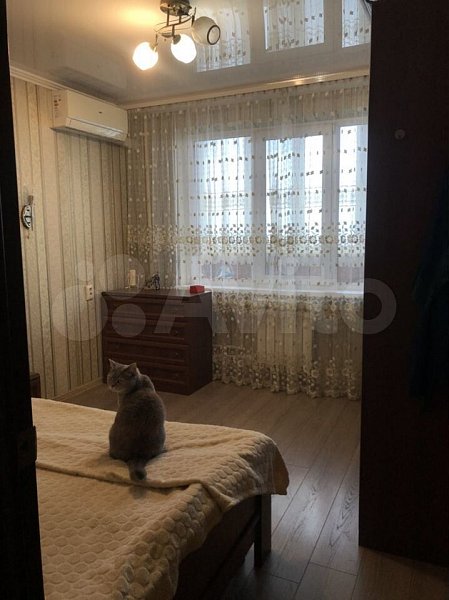 2-комн квартира, 54.2 м², р-н Пашковский (№124396)
