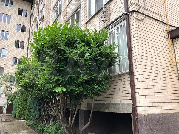 2-комн квартира, 63 м², р-н Музыкальный (№123821)
