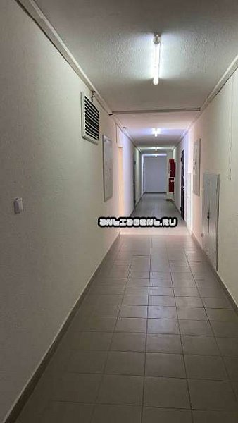 Студия, 25 м², р-н Музыкальный (№126979)
