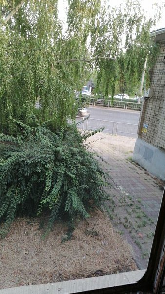 3-комн квартира, 57.3 м², р-н Черемушки (№125080)