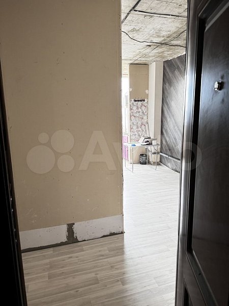 Студия, 23.6 м², р-н поселок Российский (№125370)