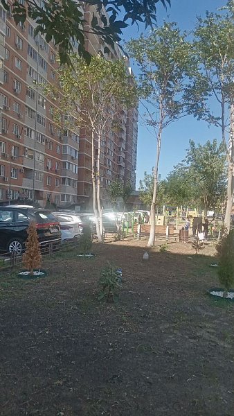 Студия, 24.1 м², р-н Петра Метальникова (№125637)