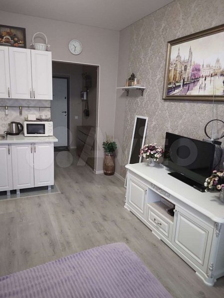 Студия, 20 м², р-н Петра Метальникова (№125536)