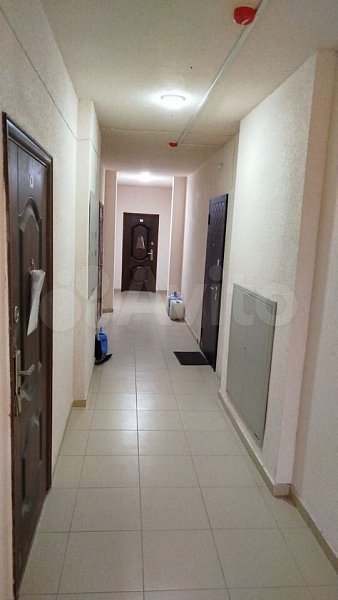 1-комн квартира, 44.8 м², р-н Российский п (№124129)