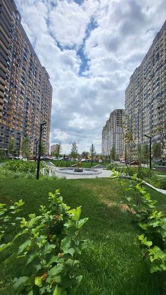 Студия, 32.9 м², р-н Пашковский (№125201)