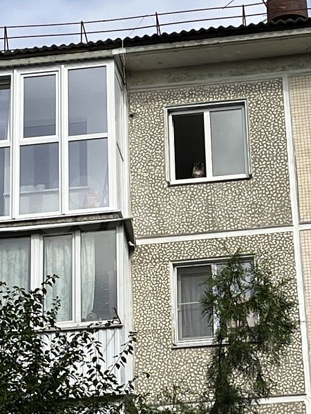 3-комн квартира, 60 м², р-н Селезнева-СБС (№124192)