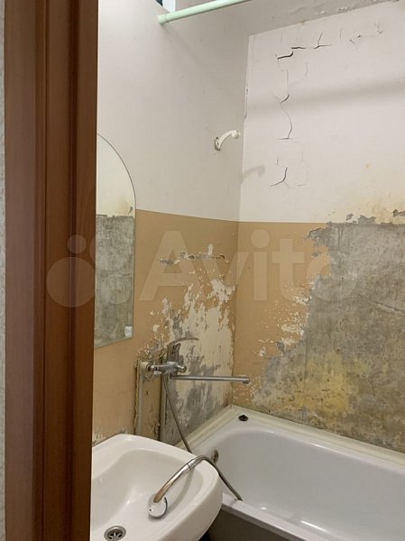 2-комн квартира, 50.9 м², р-н Окраины (№124065)