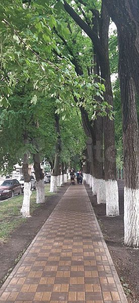 1-комн квартира, 42.5 м², р-н Восточно-кругликовский (№123969)