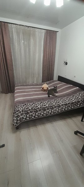 2-комн квартира, 56 м², р-н Черемушки (№123625)
