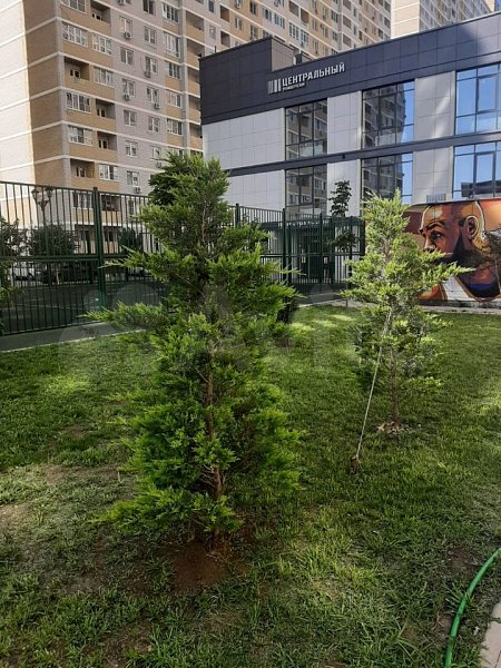 Студия, 28 м², р-н Славянский (№124868)