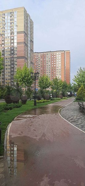 1-комн квартира, 42.5 м², р-н Восточно-кругликовский (№123969)