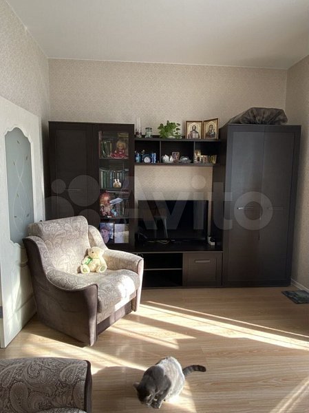 1-комн квартира, 40 м², р-н Российская ул (№124187)