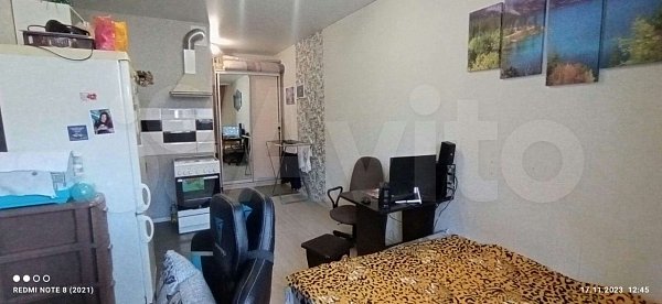 Студия, 24 м², р-н Петра Метальникова (№125560)