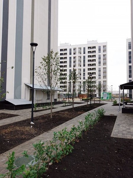 1-комн квартира, 44 м², р-н Энка - Баскет-холл (№124251)