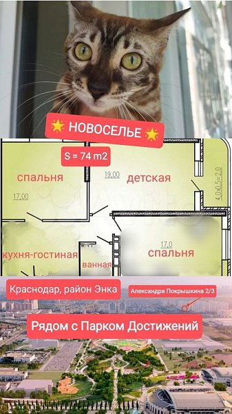 3-комн квартира, 72 м², р-н Энка - Баскет-холл (№124928)
