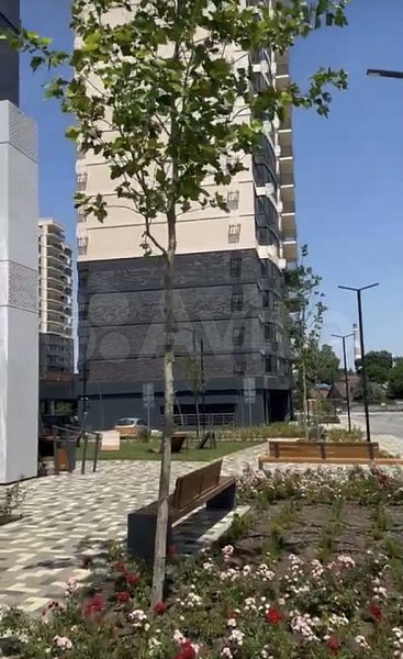Студия, 23.5 м², р-н Черемушки (№127523)