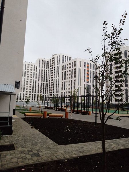 1-комн квартира, 44 м², р-н Энка - Баскет-холл (№124251)