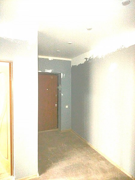 1-комн квартира, 44 м², р-н Российский п (№123167)