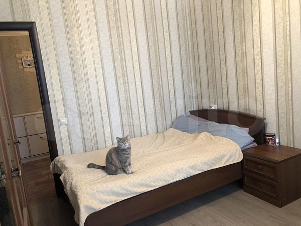 2-комн квартира, 54.2 м², р-н Пашковский (№124396)