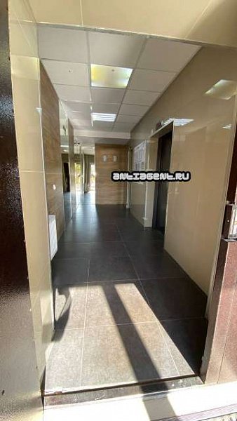 Студия, 25 м², р-н Музыкальный (№126979)