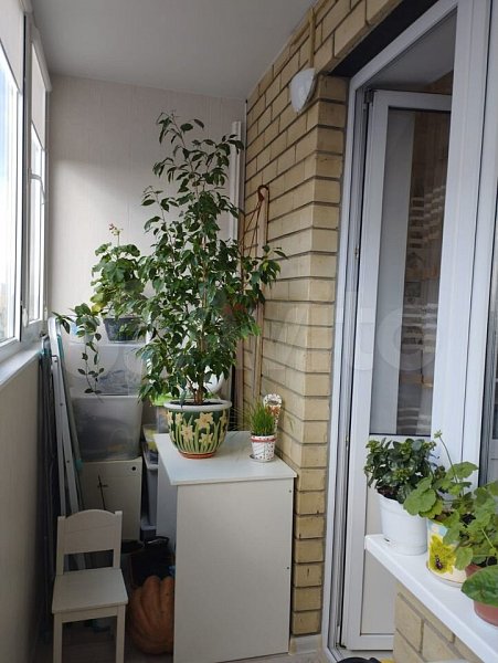 1-комн квартира, 46 м², р-н Гидростроителей (№123754)